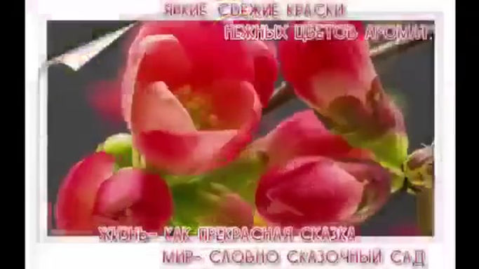 video-1602614268